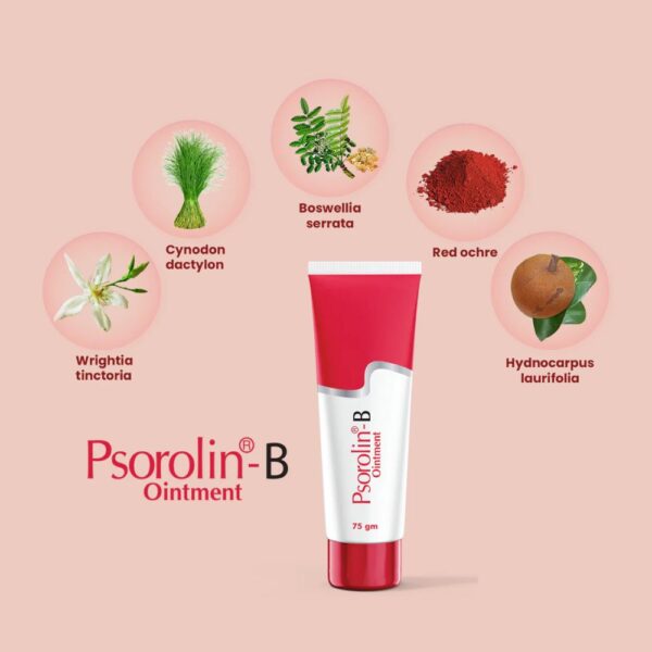 JRK Psorolin B Ointment 2