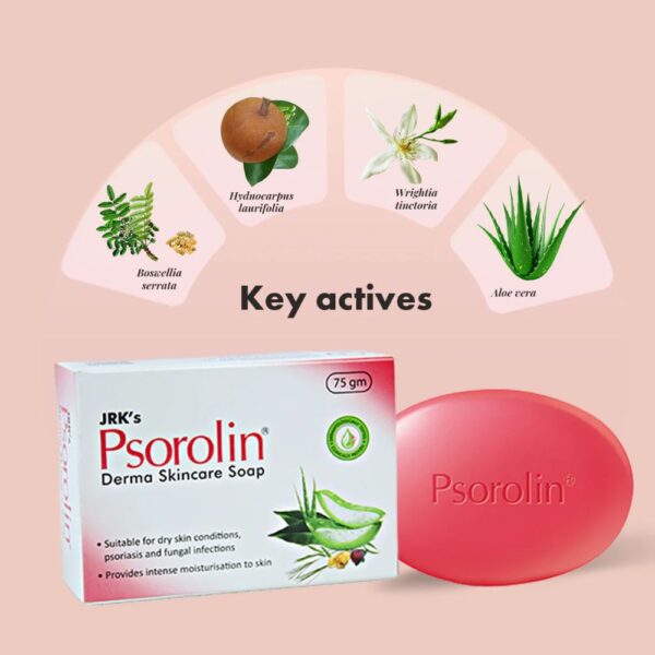 JRK's Psorolin Derma Skincare Soap 2