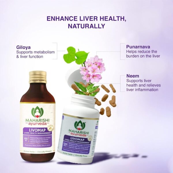 Maharishi Ayurveda LIVOMAP Syrup 2