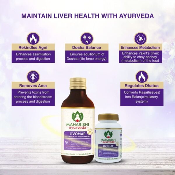 Maharishi Ayurveda LIVOMAP Syrup 3