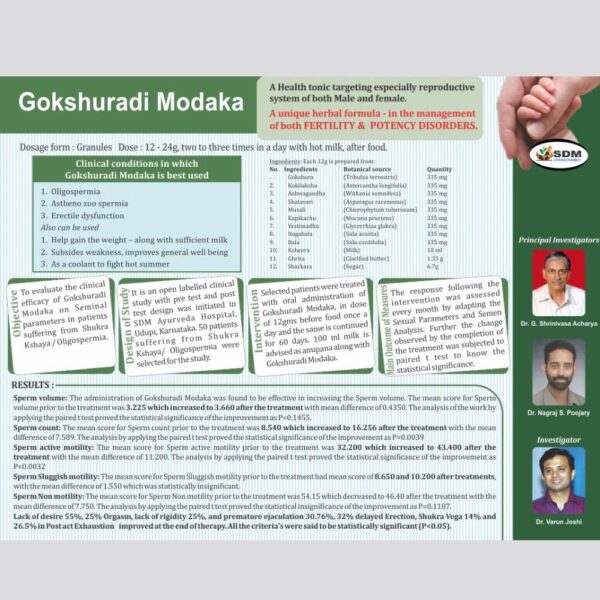 SDM Gokshuradi Modaka 3