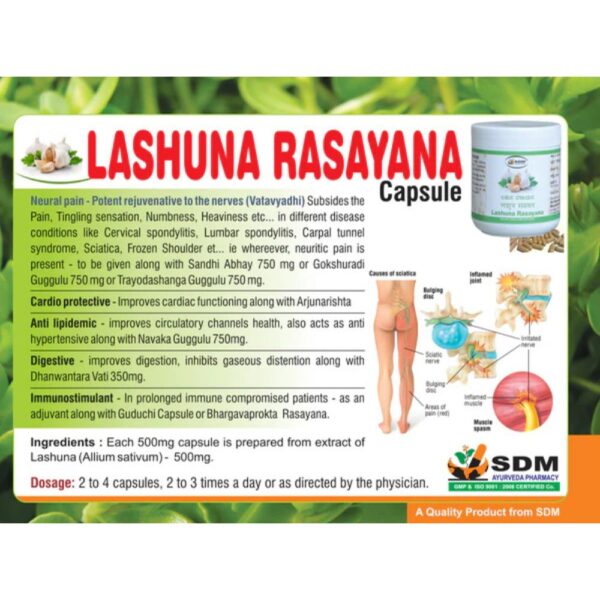 SDM Lashuna Rasayana Capsule 2