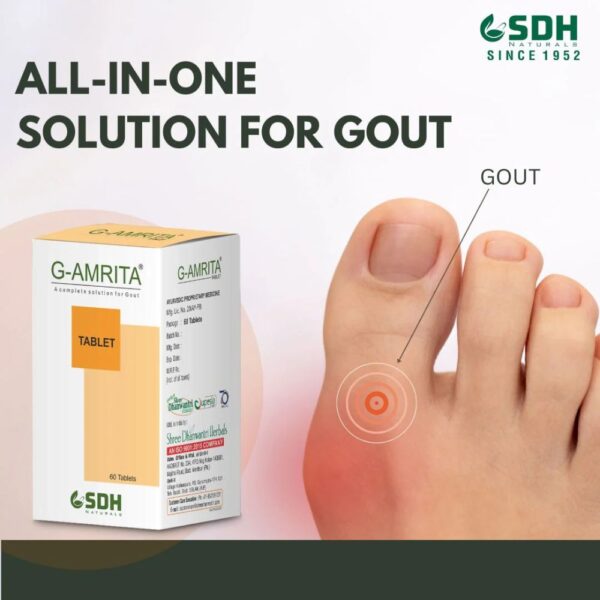 Shree Dhanwantri G Amrita Tablets 2