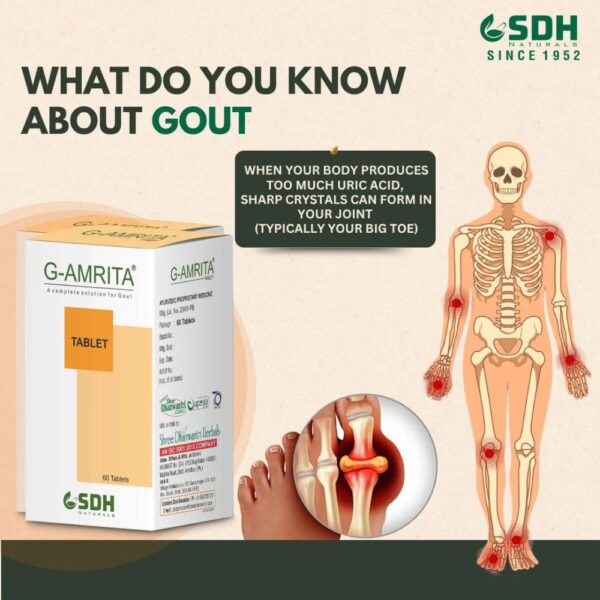 Shree Dhanwantri G Amrita Tablets 4