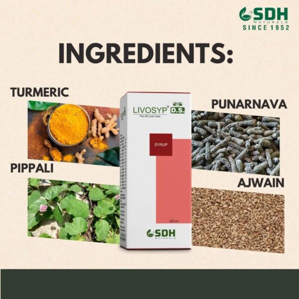 Shree Dhanwantri-Livosyp D.S. Syrup 5